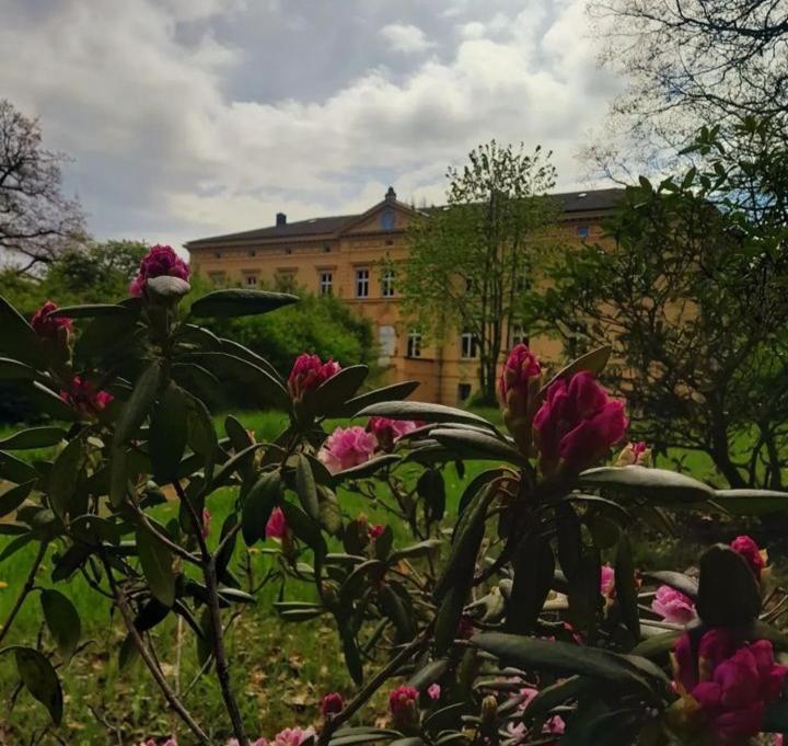 Schloss Tressow Bobitz 外观 照片